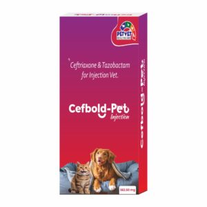 CEFBOLD-PET