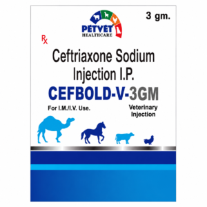 CEFBOLD-V