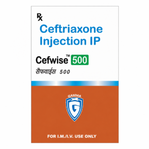CEFWISE