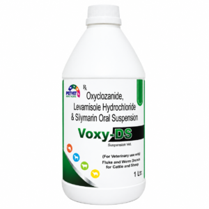 VOXY-DS