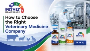 Read more about the article How to Choose the Right Veterinary Medicine Company: A Complete 2026 Guide