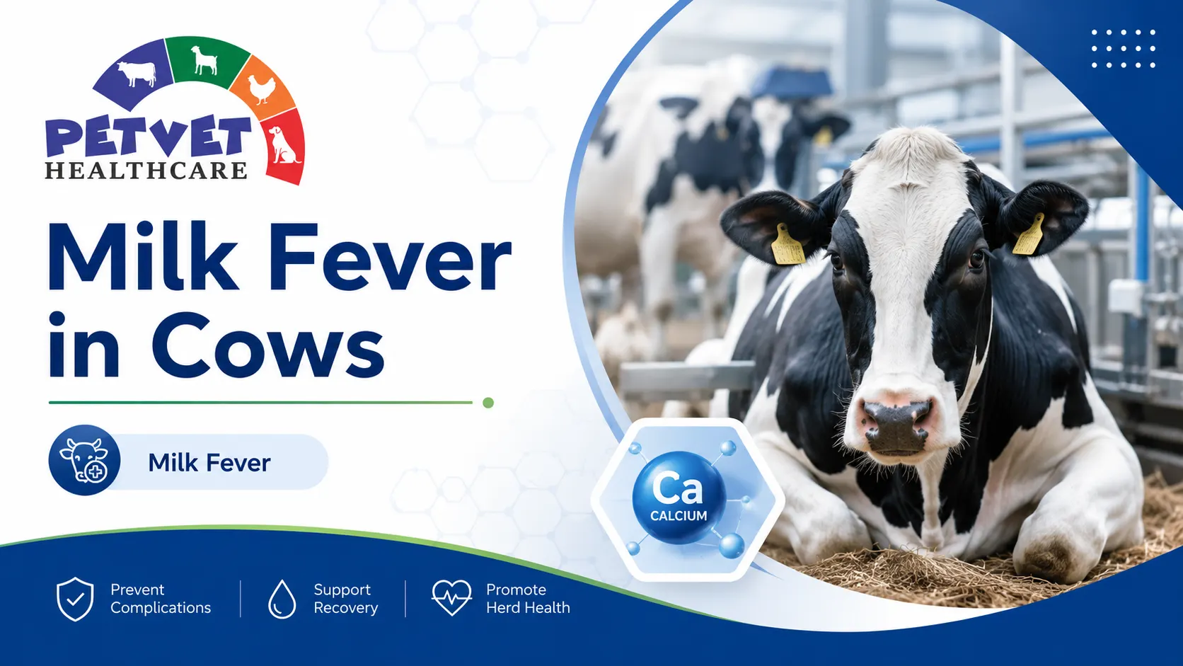 Milk Fever