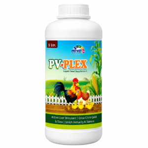 PV-PLEX