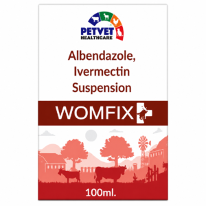 WOMFIX-PLUS