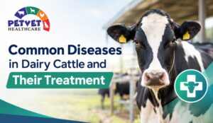 Read more about the article Common Diseases in Dairy Cattle and Their Treatment