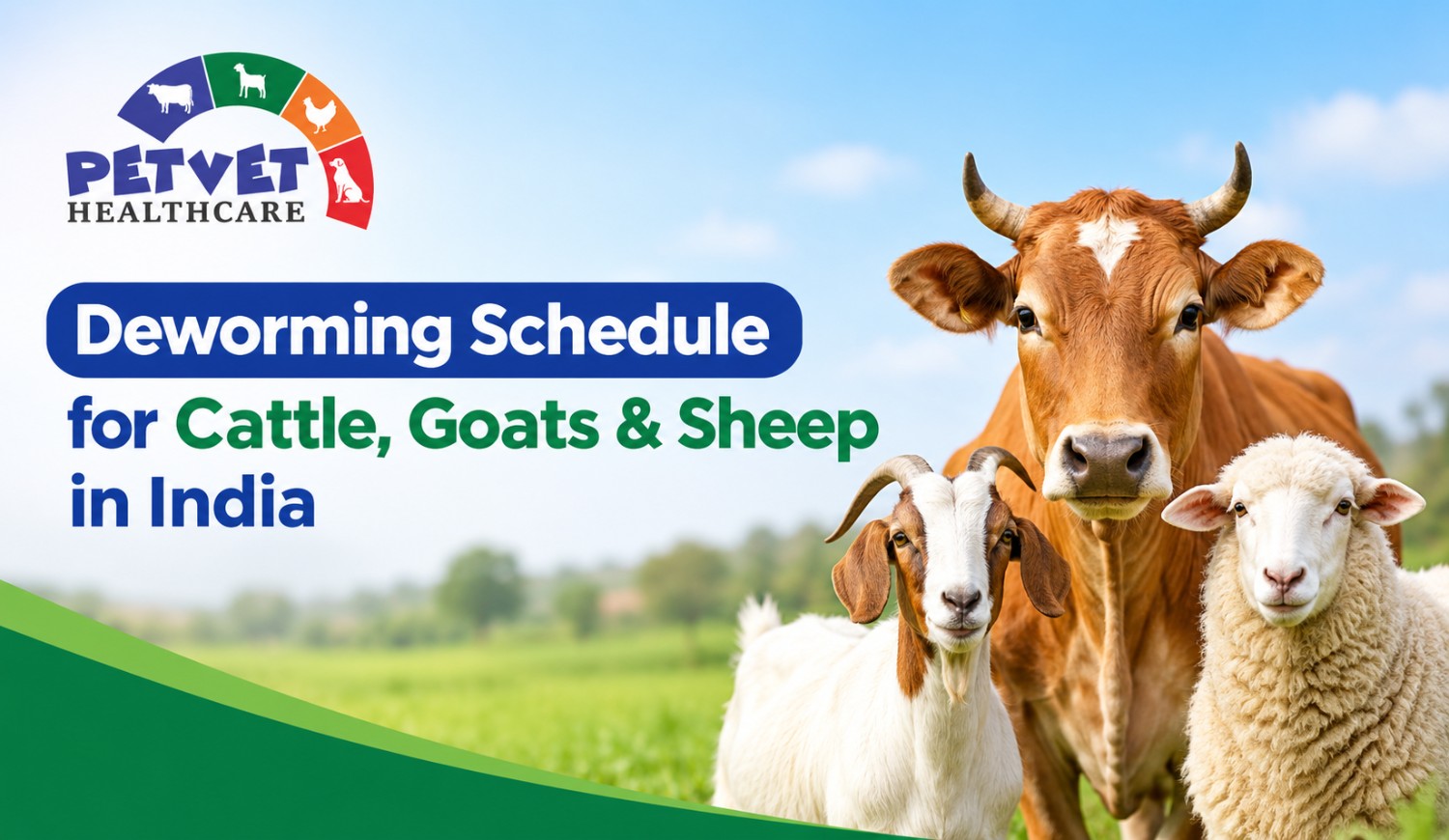 You are currently viewing Deworming Schedule for Cattle, Goats & Sheep in India