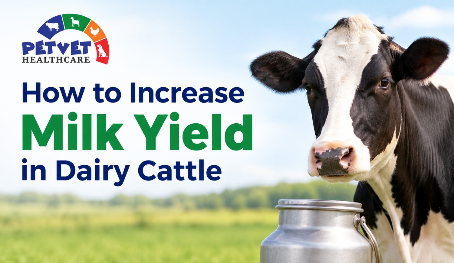 You are currently viewing How to Increase Milk Yield in Dairy Cattle: Feed & Supplement Guide