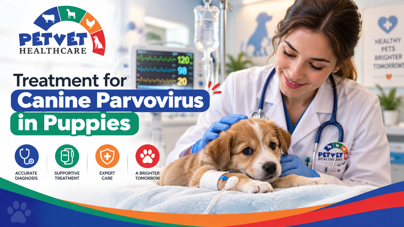 Treatment for Canine Parvovirus in Puppies